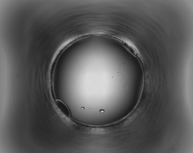 X0000086721088200704201622