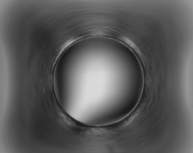 X0000086721089200704201622