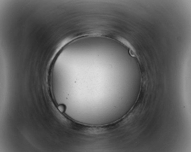 X0000086721091200704201622