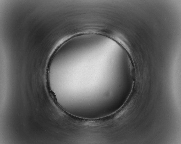 X0000086721093200704201622