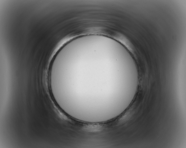 X0000086721094200704201622