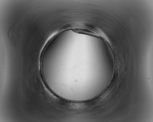 X0000086721095200704201622