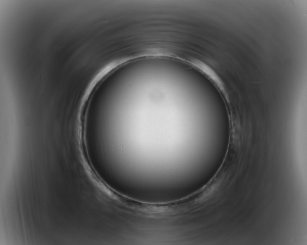 X0000086721096200704201622