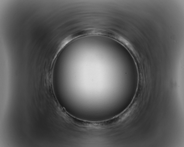 X0000086721097200704201622