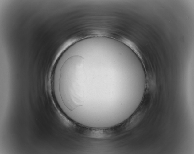 X0000086721098200704201622