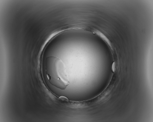 X0000086721099200704201622