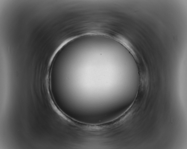 X0000086721100200704201621