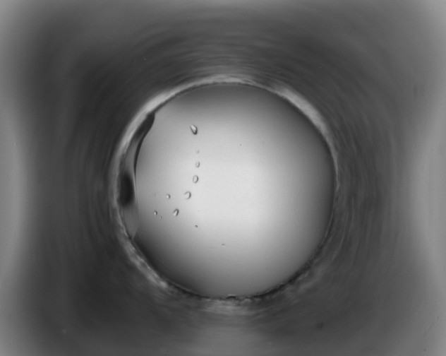 X0000086721104200704201621