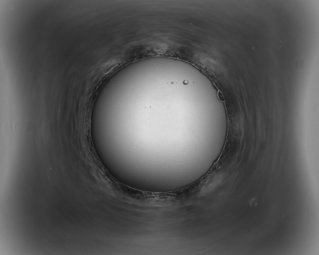 X0000086721105200704201621