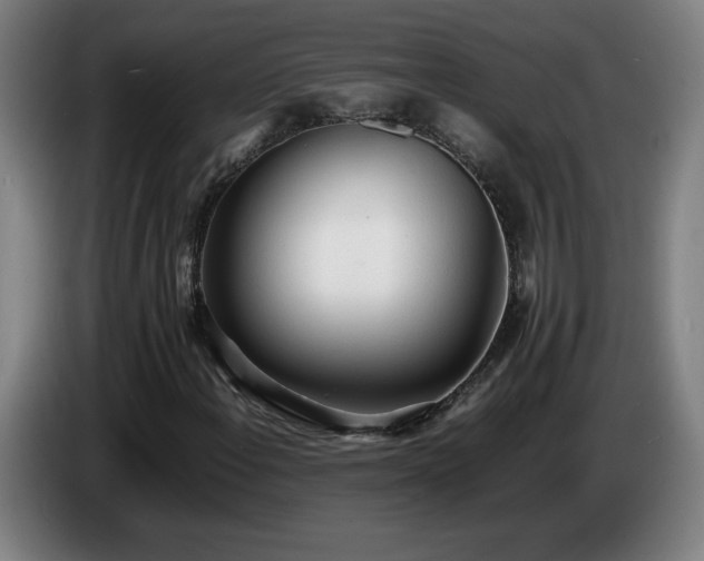 X0000086721108200704201621