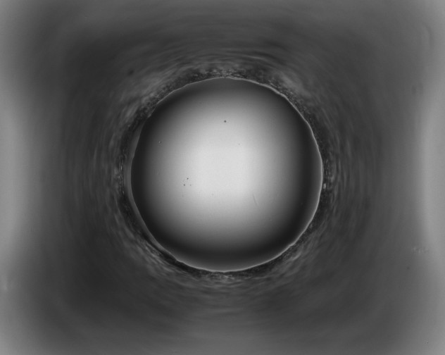 X0000086721109200704201621