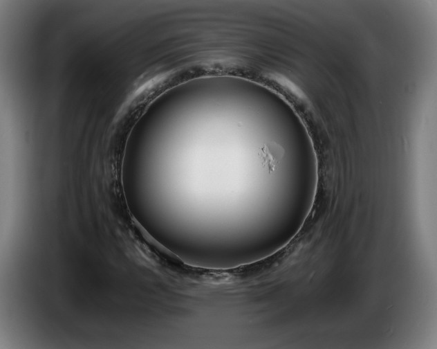 X0000086721112200704201621