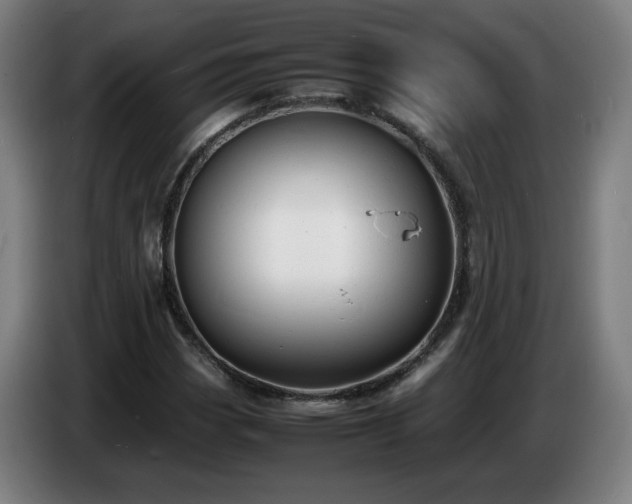 X0000086721113200704201621