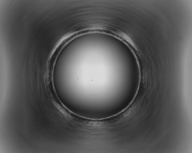X0000086721116200704201621