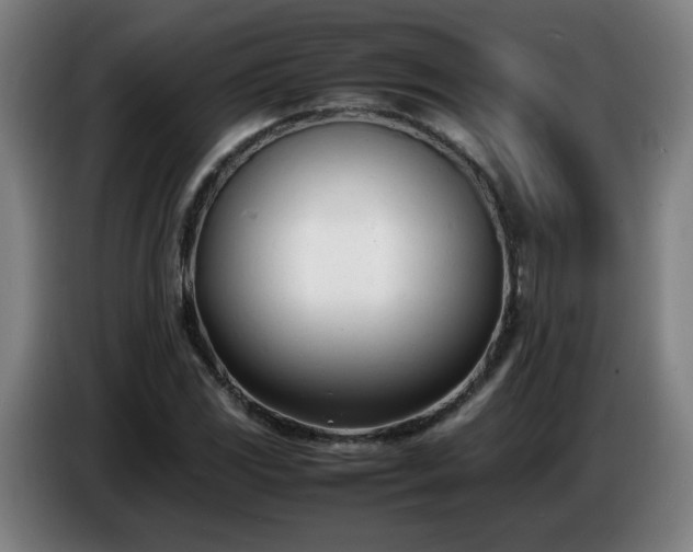 X0000086721117200704201621