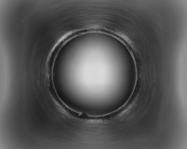 X0000086721118200704201621
