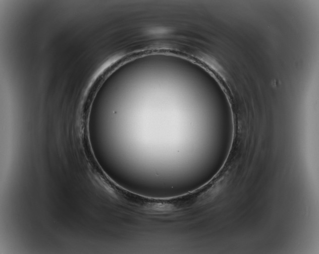 X0000086721119200704201621
