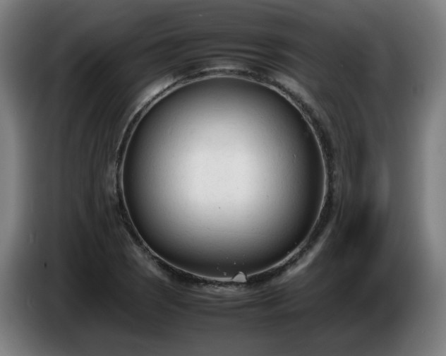 X0000086721121200704201621