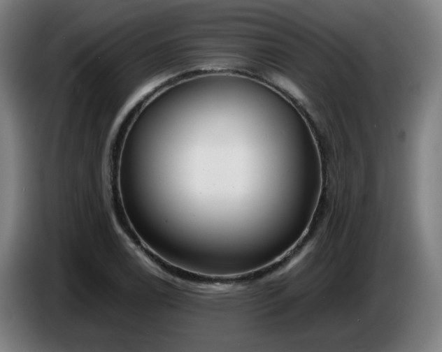 X0000086721122200704201621