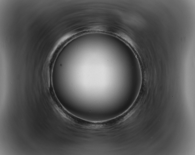 X0000086721123200704201621