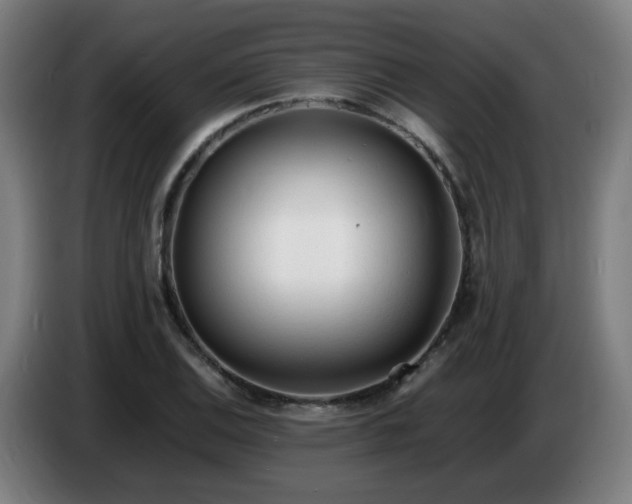 X0000086721124200704201621