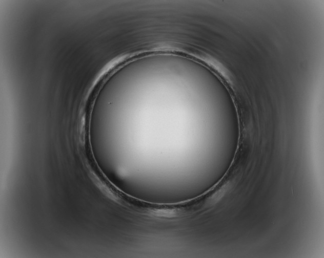 X0000086721126200704201621