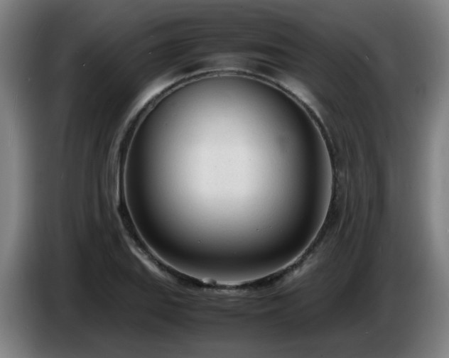 X0000086721127200704201621