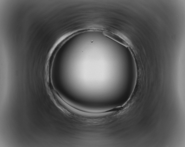 X0000086721128200704201621
