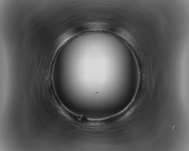 X0000086721129200704201621