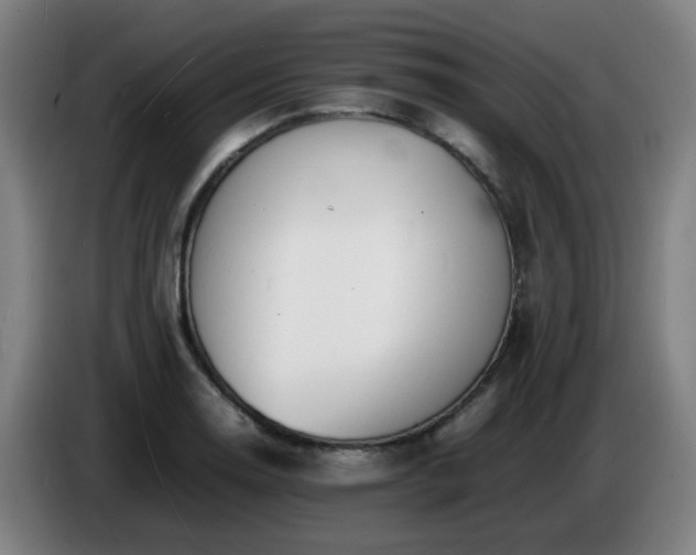 X0000086721130200704201621