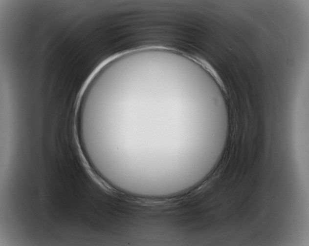 X0000086721132200704201621