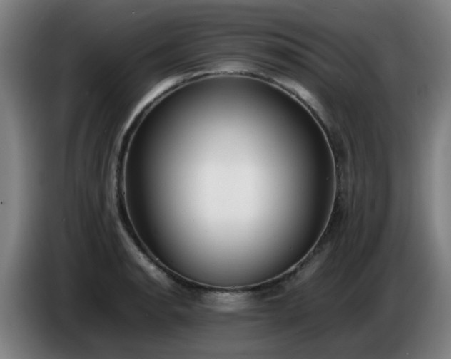 X0000086721134200704201621