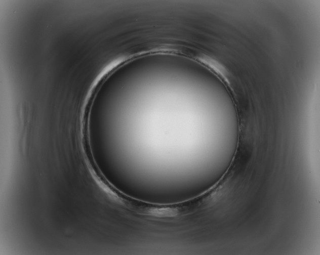X0000086721135200704201621