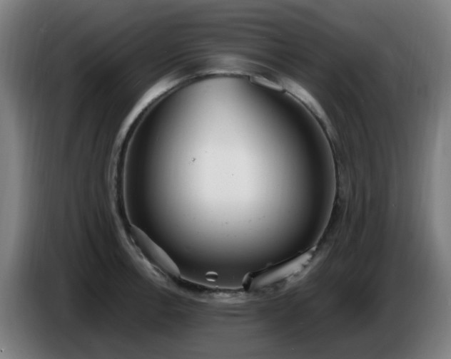 X0000086721138200704201621