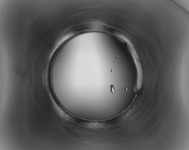 X0000086721139200704201621