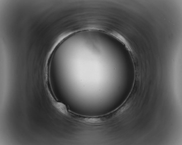 X0000086721140200704201621