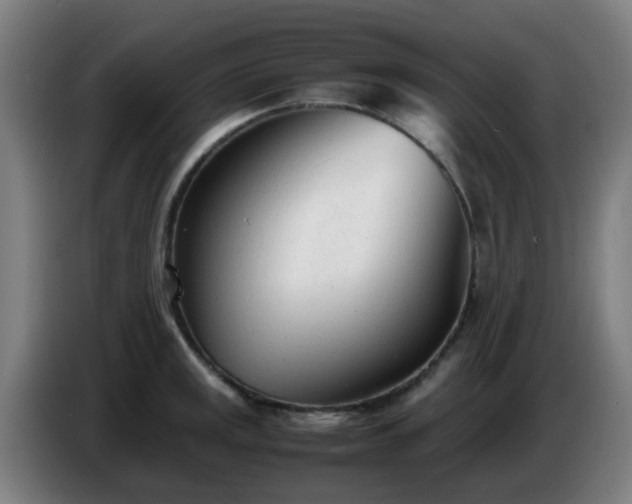 X0000086721141200704201621