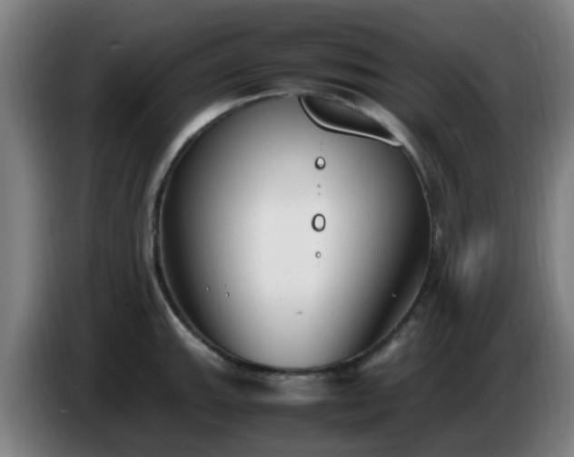 X0000086721143200704201621