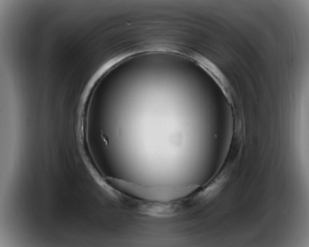 X0000086721144200704201621