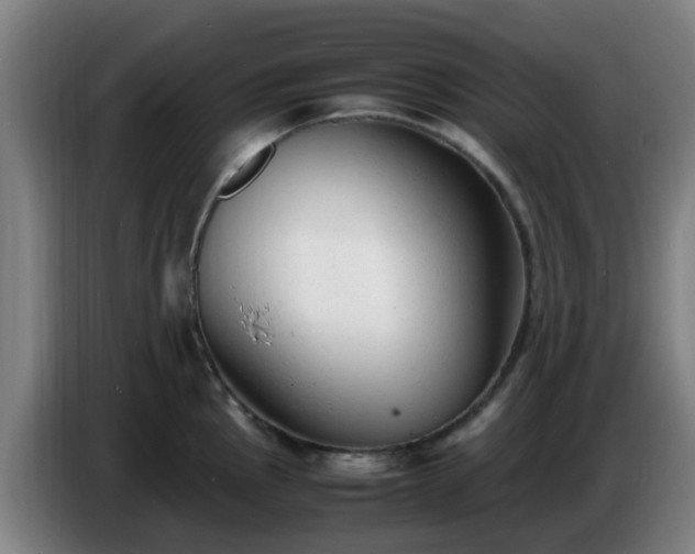 X0000086721145200704201621