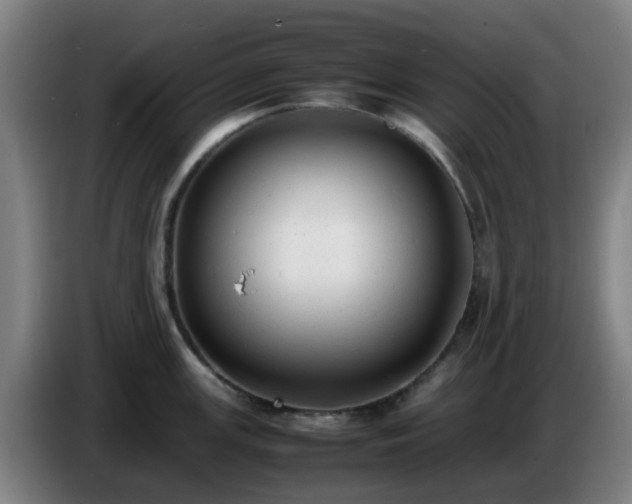 X0000086721147200704201621
