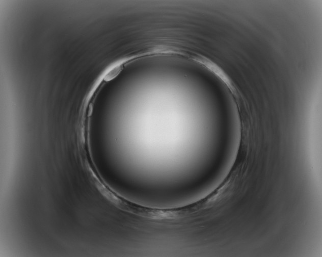 X0000086721148200704201621