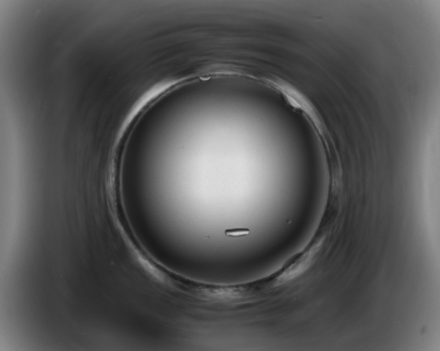 X0000086721149200704201621