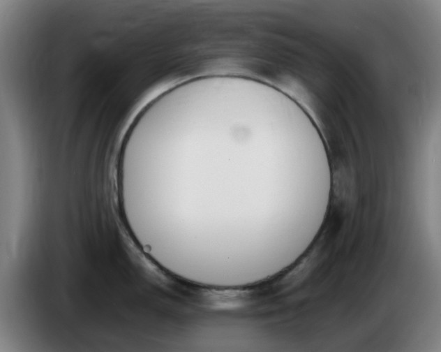 X0000086721150200704201621