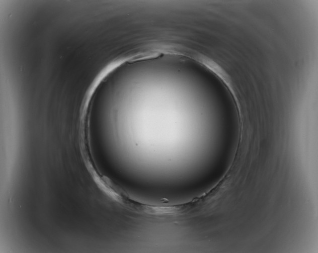 X0000086721152200704201621