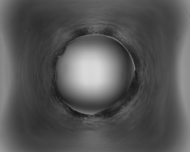 X0000086721153200704201621
