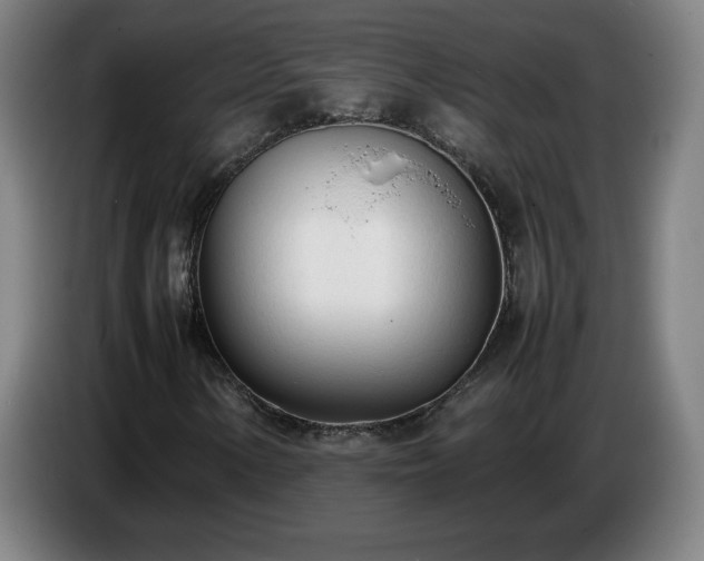 X0000086721154200704201621