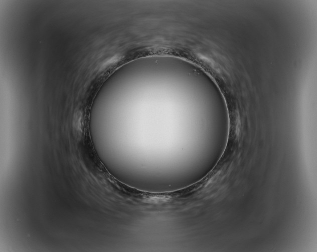 X0000086721157200704201621