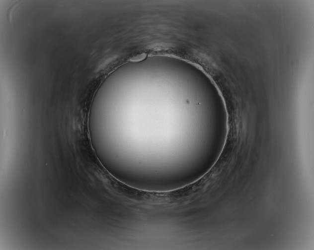 X0000086721158200704201621