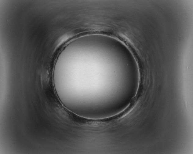 X0000086721163200704201621